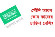 সৌদি আরব কোন কাজের চাহিদা বেশি