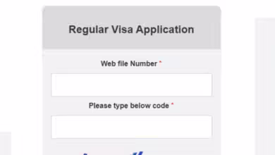 INDIAN VISA APPLICATION TRACKING