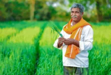 একজন কৃষক
