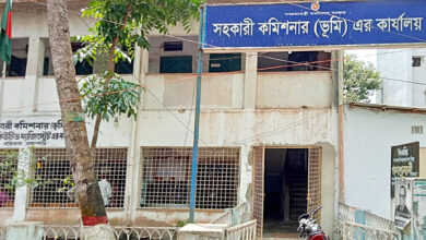 উপজেলা ভূমি অফিসের সেবা