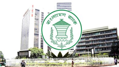 ছাগল পালনে সর্বোচ্চ ১০ লাখ টাকা